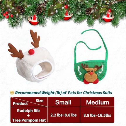 🎅🎄Cute Christmas Tree Hat with Pom-Poms