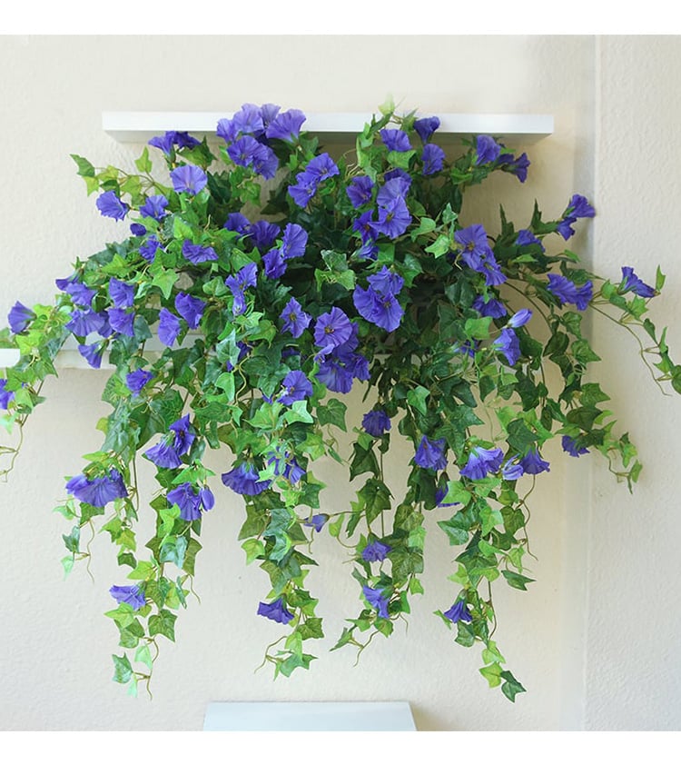 🌺UV Simulation Artificial Morning Glory