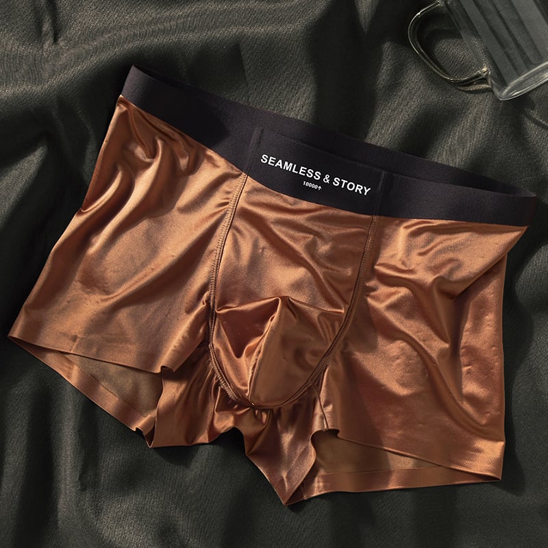 🎉2026 New Arrival 🔥Men's Satin Ice Silk Briefs