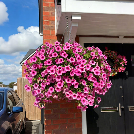 🔥Last Day 60% OFF😍Sunscreen and Rainproof Artificial Petunias Flowers🌺
