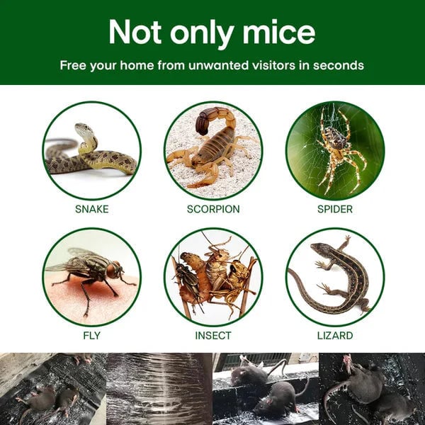 🔥Household Mono-woven Strong Trap Sticky Mouse Fill