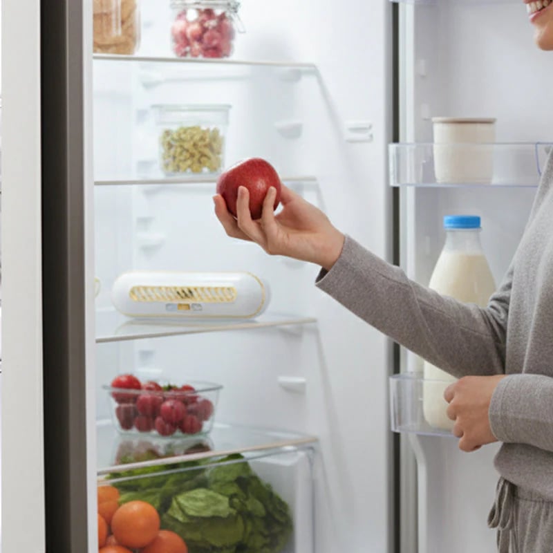 Rechargeable Portable Fridge Sterilizer