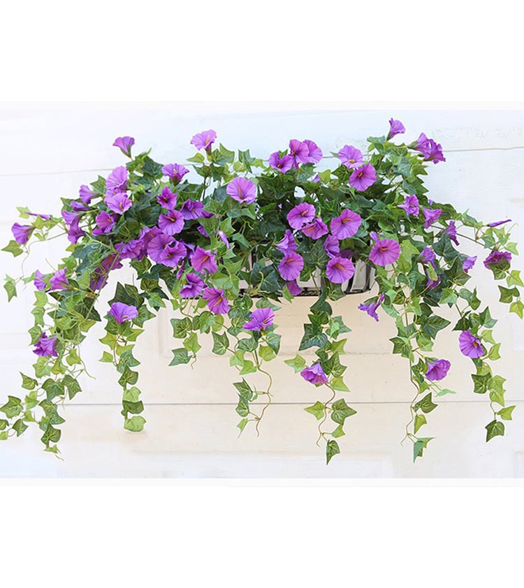 🌺UV Simulation Artificial Morning Glory
