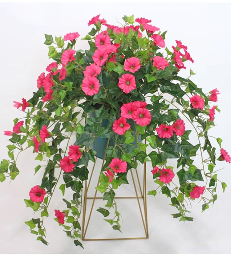 🌺UV Simulation Artificial Morning Glory