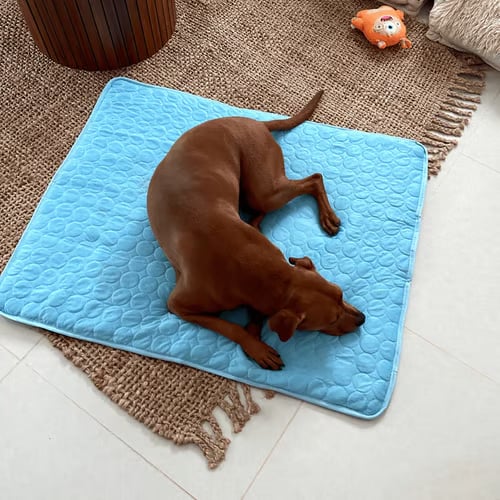 🐶 Super Value Deal: Only $17.99 — Pet Summer Cooling Mat