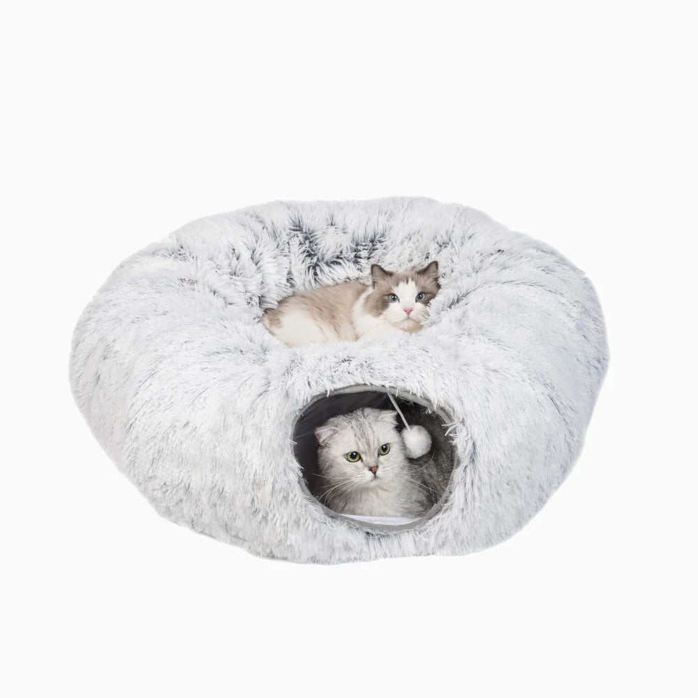 2-in-1 Collapsible Cat Tunnel & Bed: Where Adventure Meets Nap Time