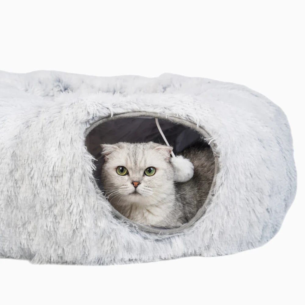 2-in-1 Collapsible Cat Tunnel & Bed: Where Adventure Meets Nap Time