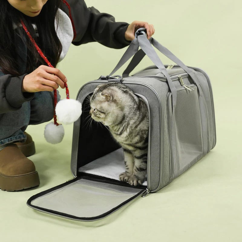 📢📢40% OFF !! ⏰Large Foldable Mesh Cat Carrier Bag