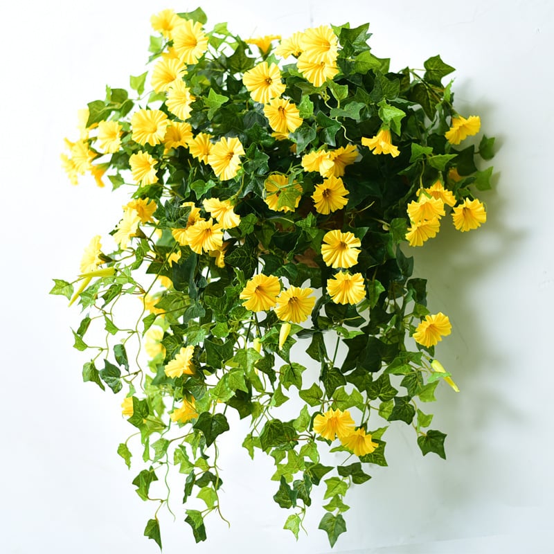 🌺UV Simulation Artificial Morning Glory