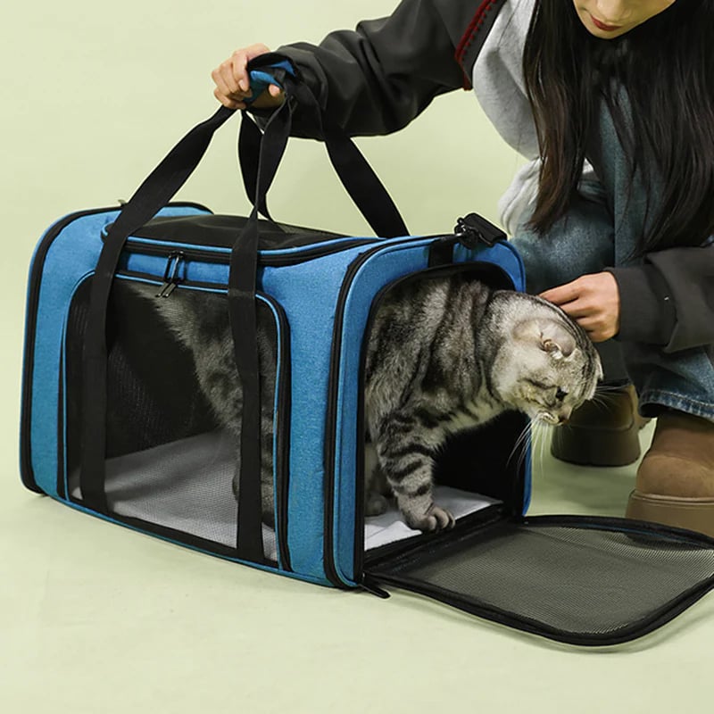 📢📢40% OFF !! ⏰Large Foldable Mesh Cat Carrier Bag