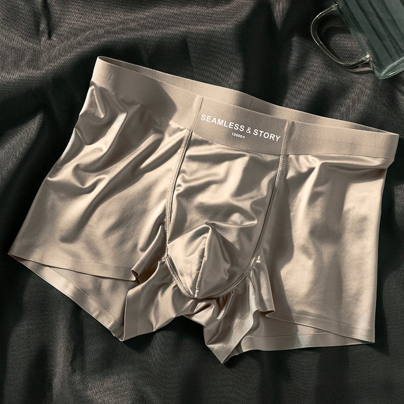 🎉2026 New Arrival 🔥Men's Satin Ice Silk Briefs