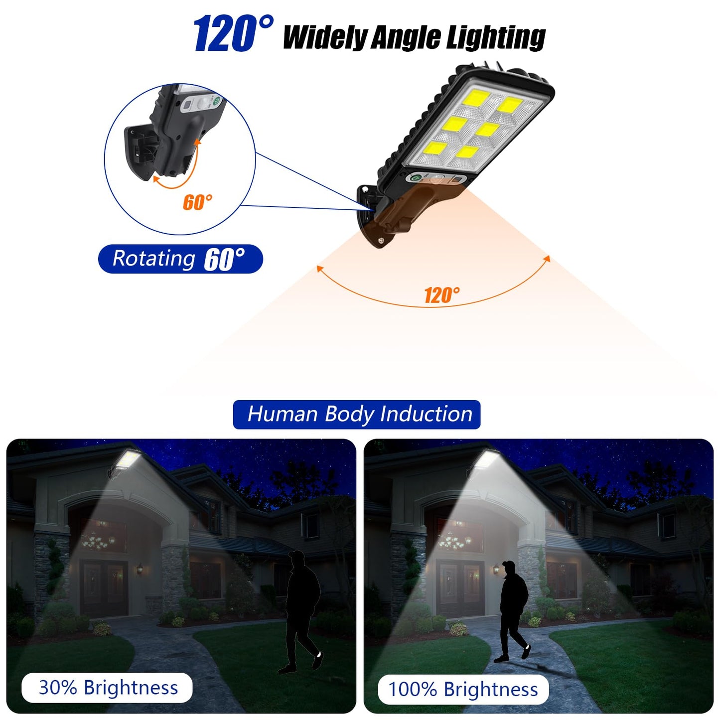 Solar Outdoor Garden Lights