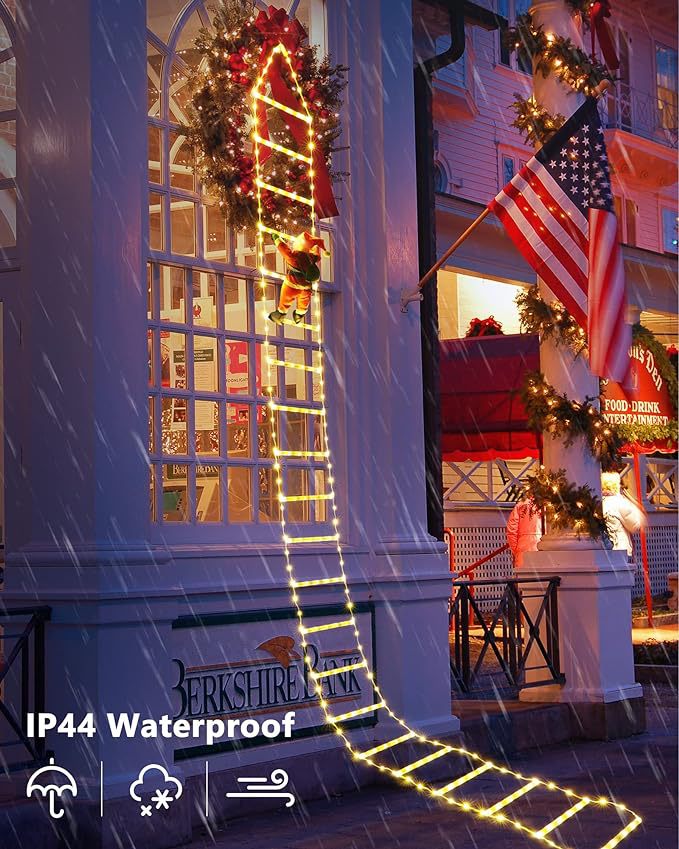 🔥This week's hot sale🔥christmas decorative ladder lights with santa claus