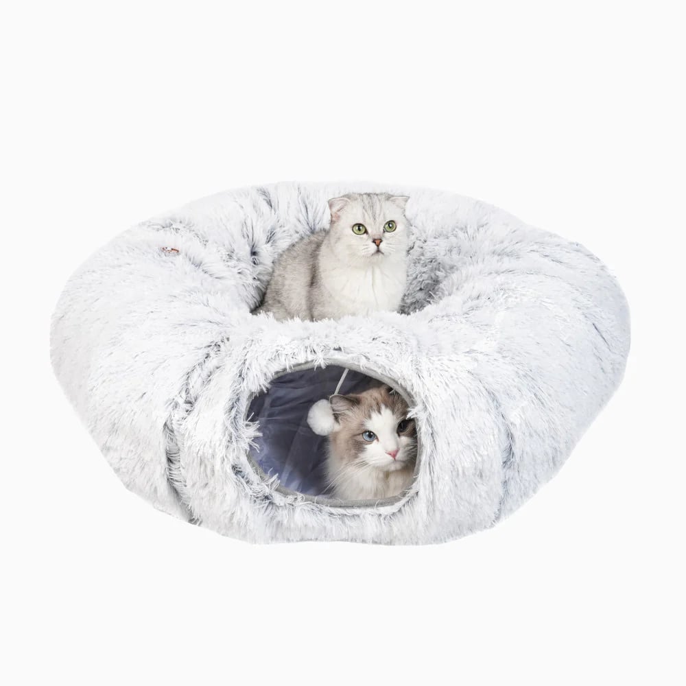2-in-1 Collapsible Cat Tunnel & Bed: Where Adventure Meets Nap Time