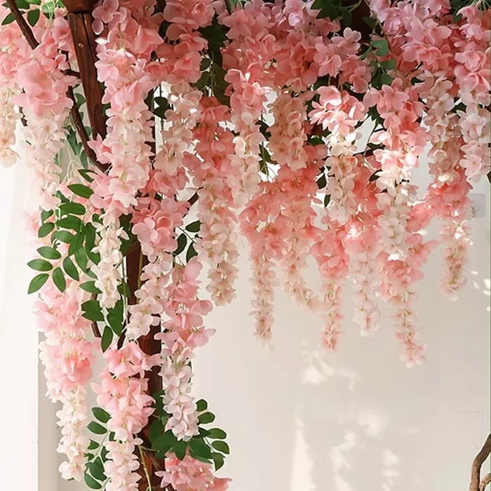 Simulation of Giant Wisteria Flowers