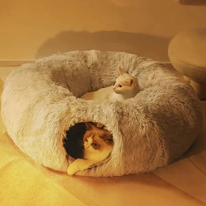 2-in-1 Collapsible Cat Tunnel & Bed: Where Adventure Meets Nap Time