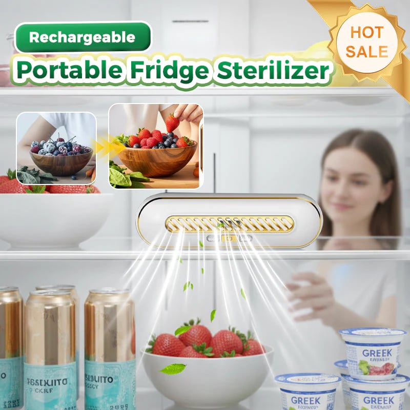 Rechargeable Portable Fridge Sterilizer