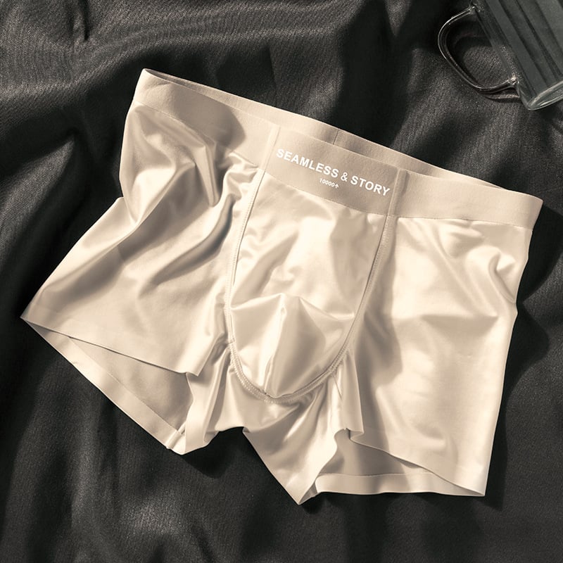 🎉2026 New Arrival 🔥Men's Satin Ice Silk Briefs