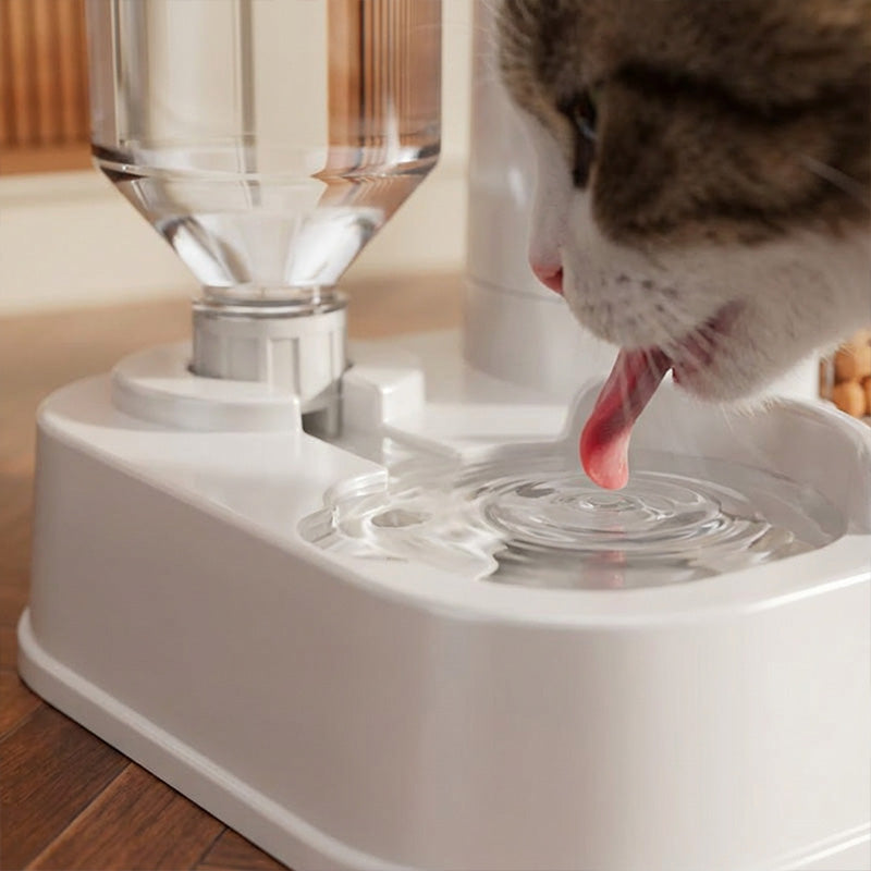 🔥2-in-1 Automatic Pet Feeder & Water Dispenser